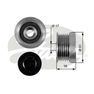 Alternator Freewheel Clutch (OAP7036)