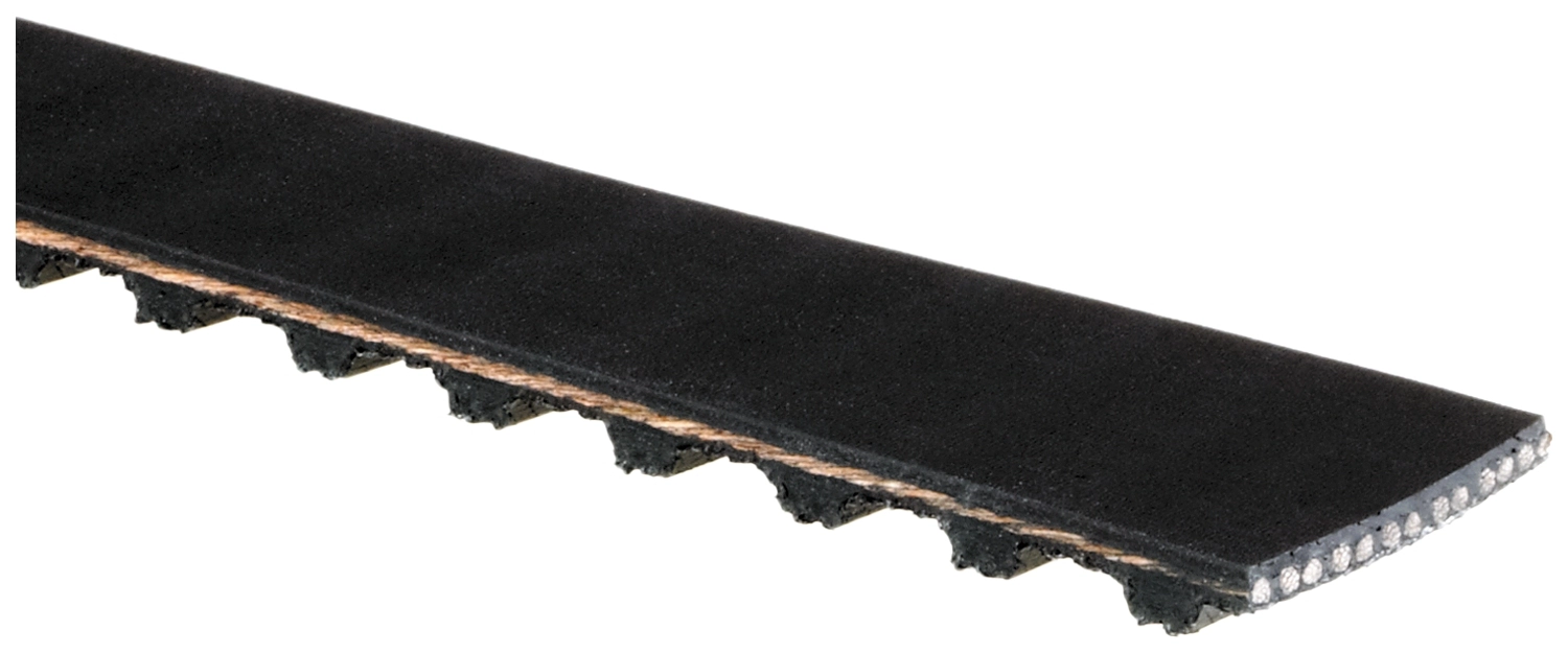 Timing Belt