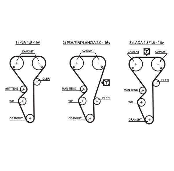 Timing Belt