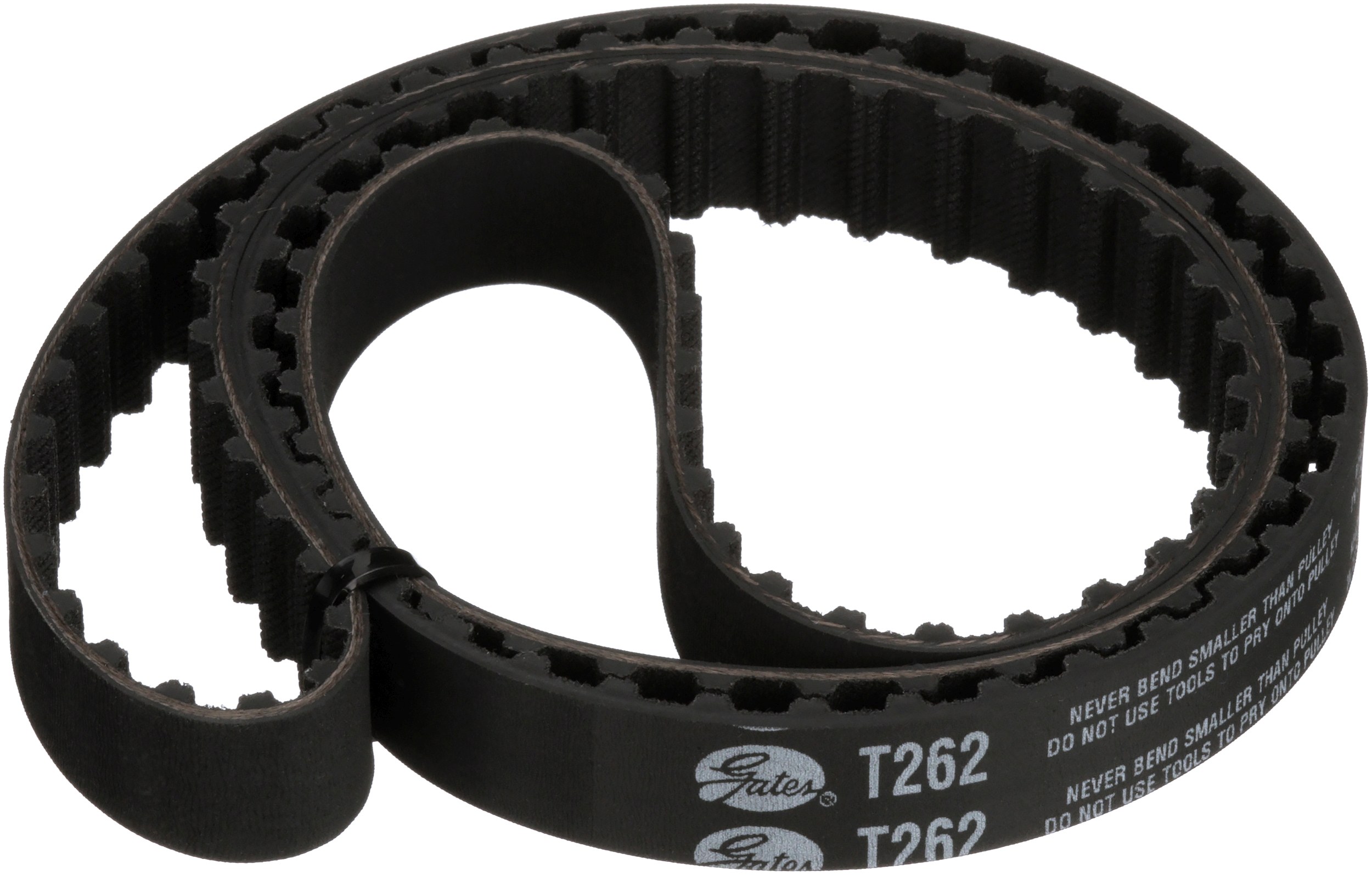 Timing Belt (T262)
