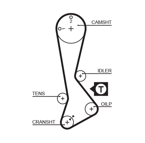 Timing Belt