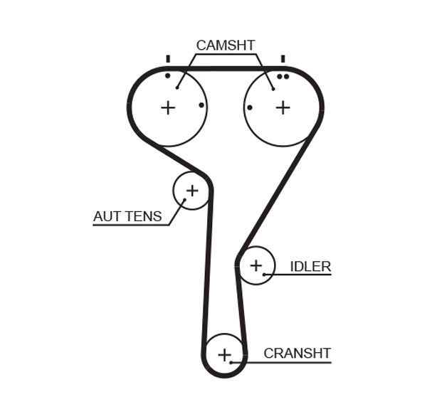 Timing Belt