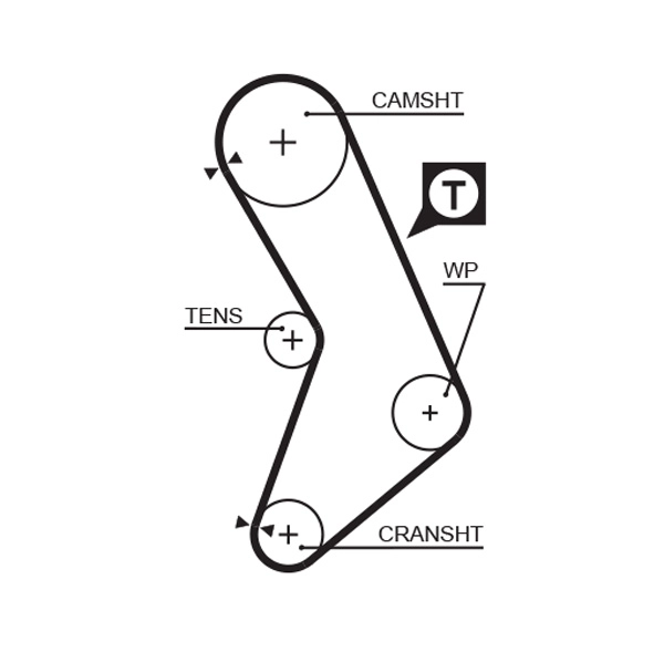 Timing Belt