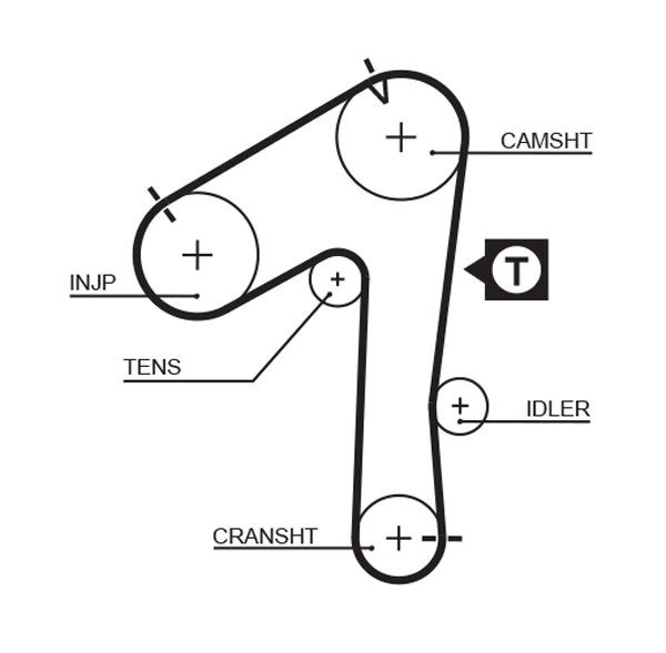 Timing Belt