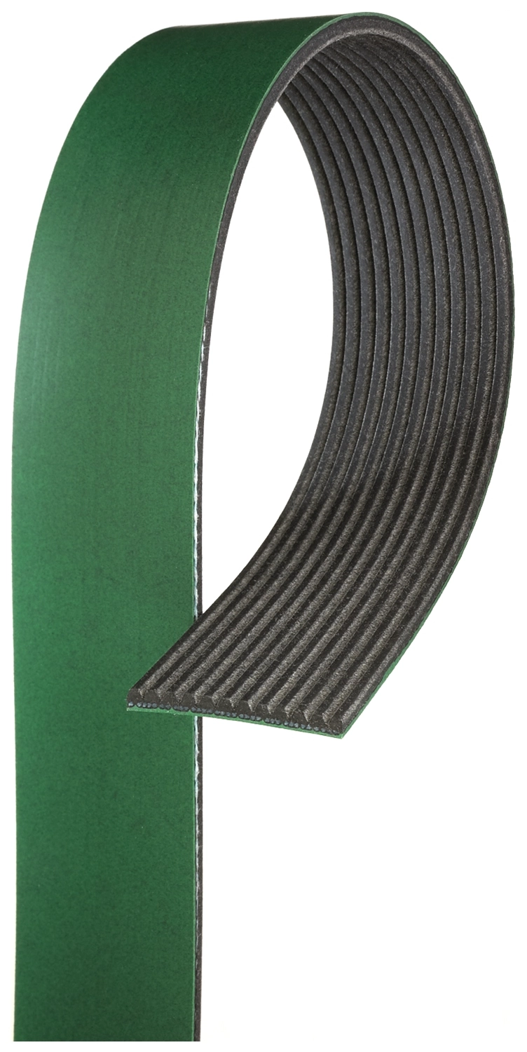 V-Ribbed Belt (12PK1831HD)
