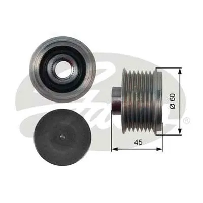 Alternator Freewheel Clutch (OAP7136)