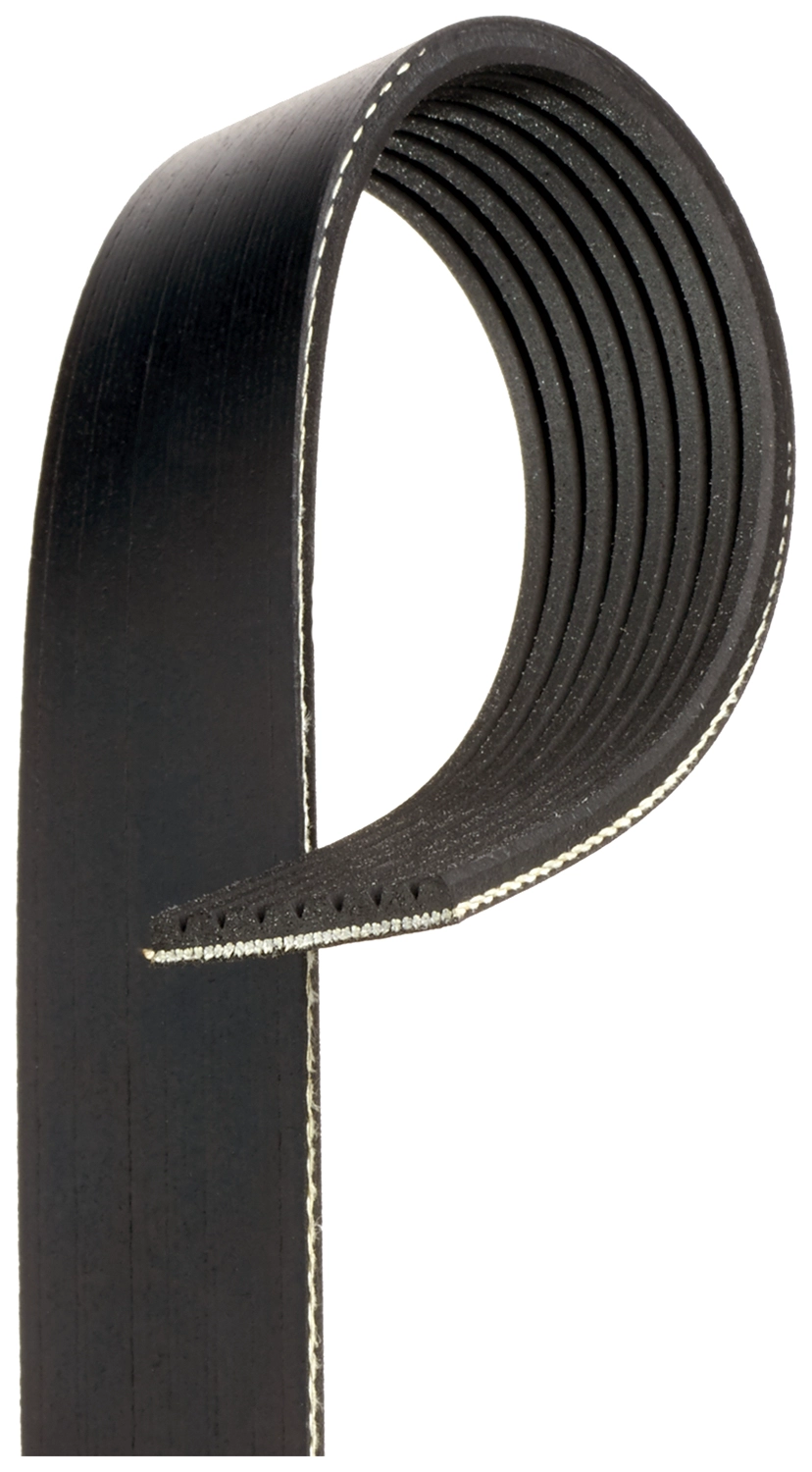 V-Ribbed Belt (8PK1310XS)