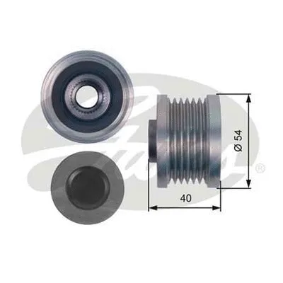 Alternator Freewheel Clutch (OAP7142)