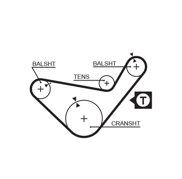 Timing Belt