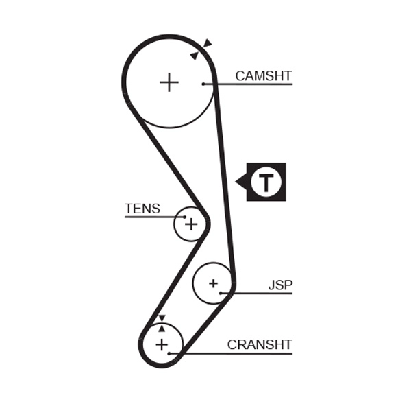 Timing Belt