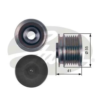Alternator Freewheel Clutch (OAP7115)
