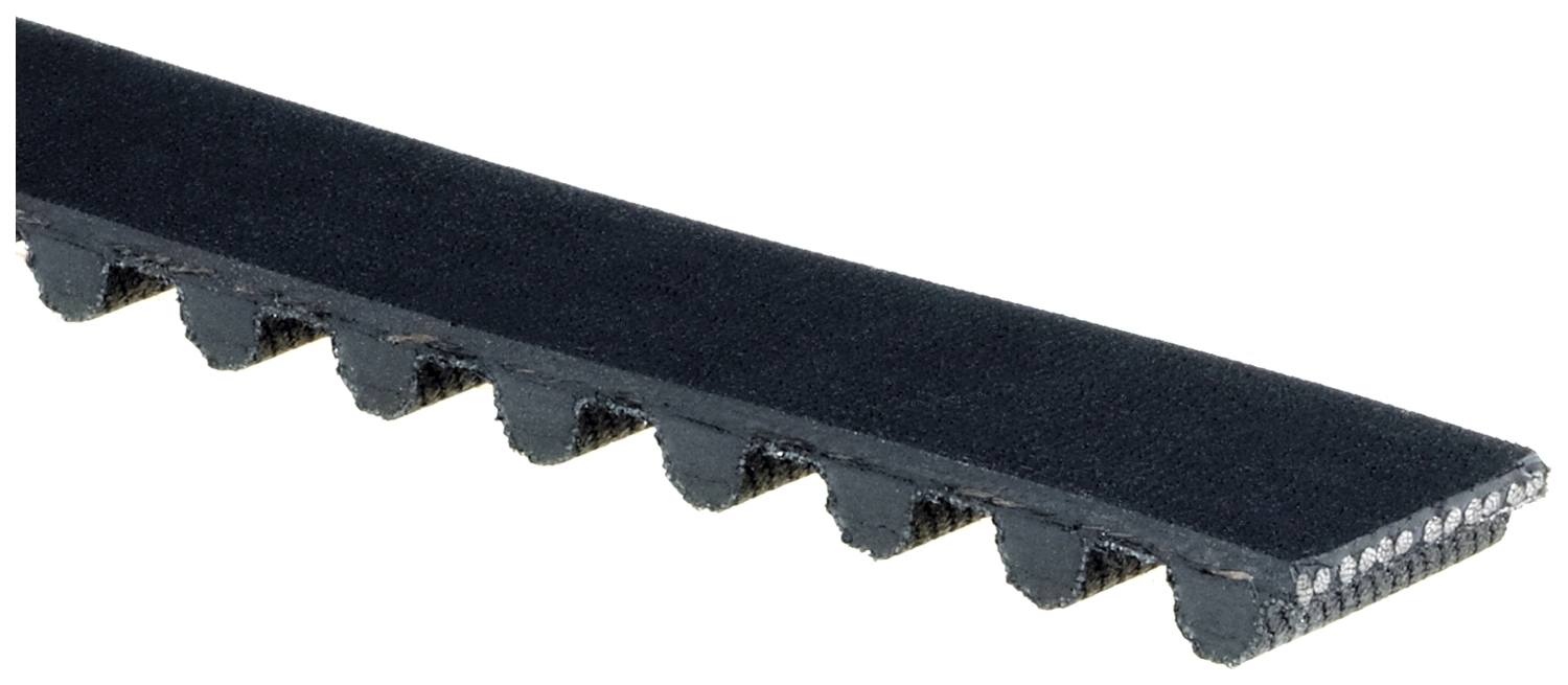 Timing Belt