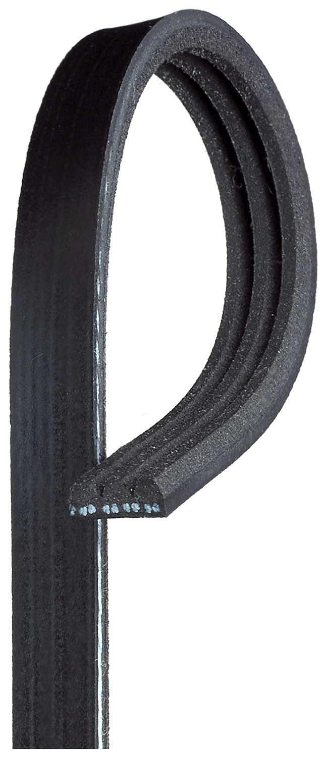 V-Ribbed Belt (3PK576SF)