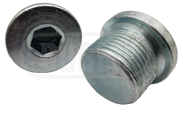 Screw Plug, oil sump (BV10F)