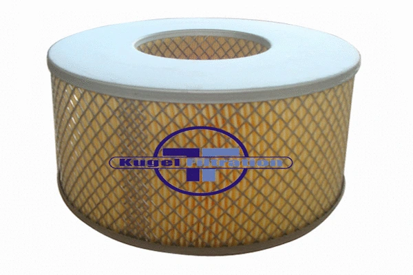Air Filter (A4045)
