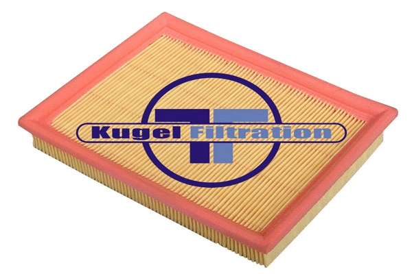 Air Filter (A3006)