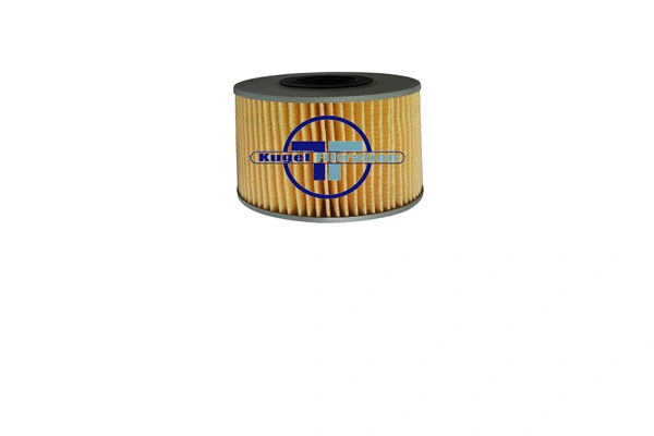 Fuel Filter (FD139)