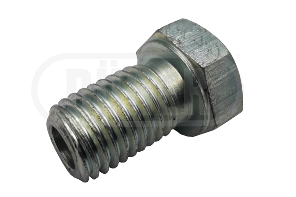 Screw Plug, oil sump (BV02A)