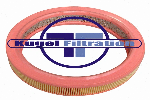 Air Filter (A3005)
