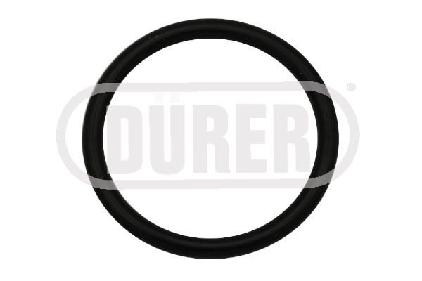 Seal Ring, oil drain plug (JBV05C)