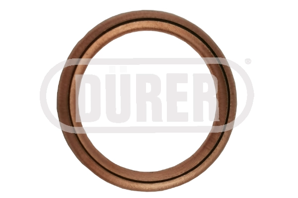 Seal Ring, oil drain plug (JBV04H)