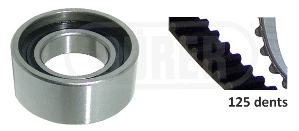 Timing Belt Kit (DK131001)
