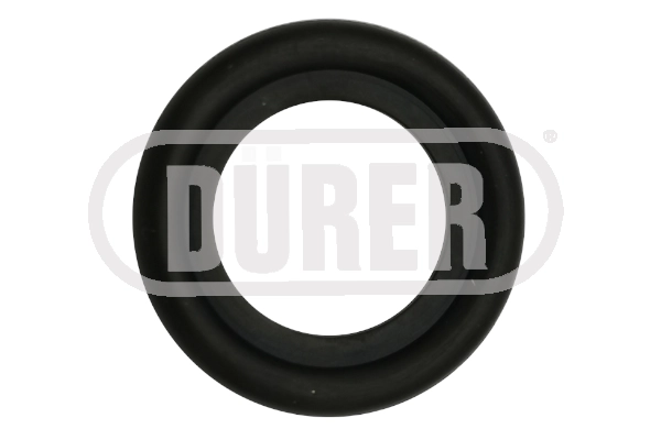 Seal Ring, oil drain plug (JBV14C)