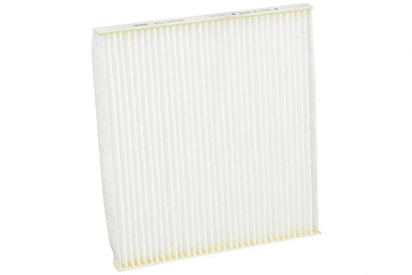 Filter, cabin air (H5066W)