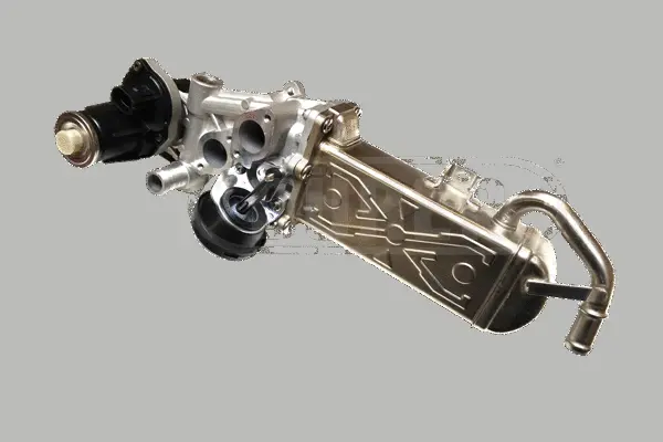 EGR Valve (VR81152)
