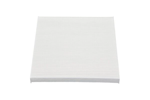 Filter, cabin air (H5099W)