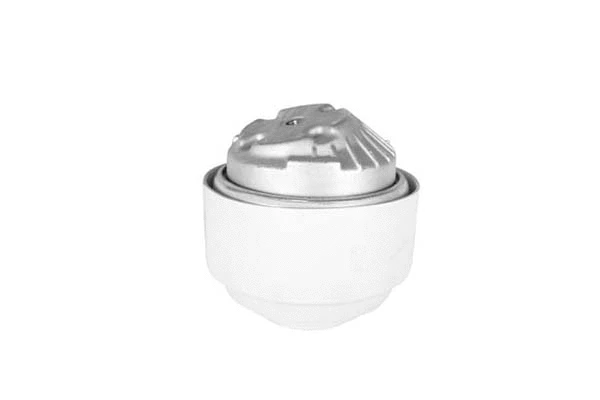 Mounting, engine (SM10013)