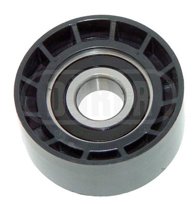 Deflection/Guide Pulley, V-ribbed belt (GA63014)