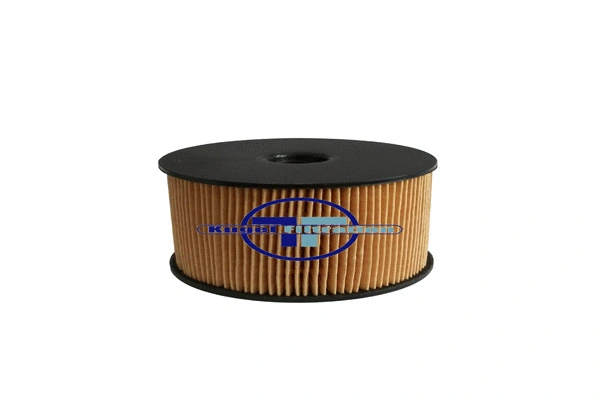 Fuel Filter (FD137)