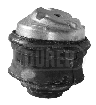 Mounting, engine (SM10009)