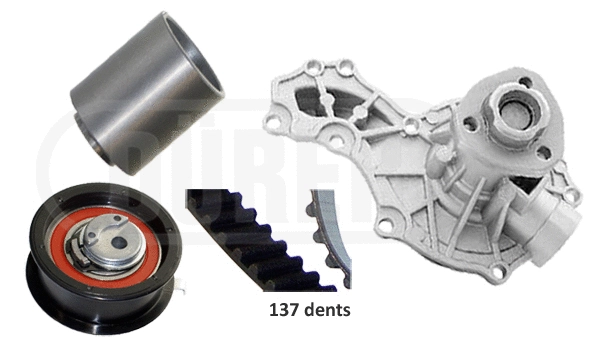 Water Pump & Timing Belt Kit (PA381132)