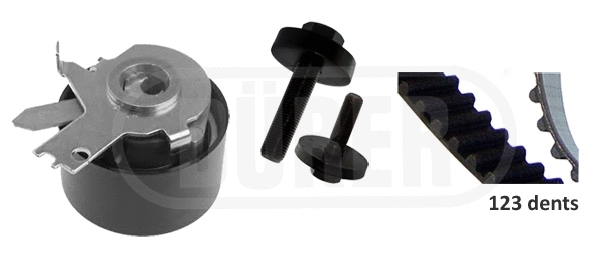 Timing Belt Kit (DK161106)