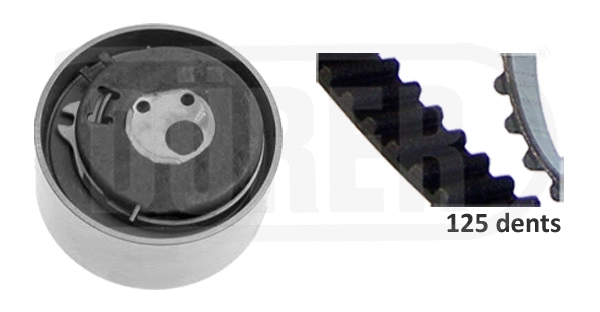 Timing Belt Kit (DK231201)