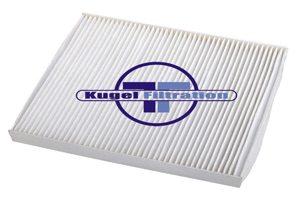 Filter, cabin air (H5031W)