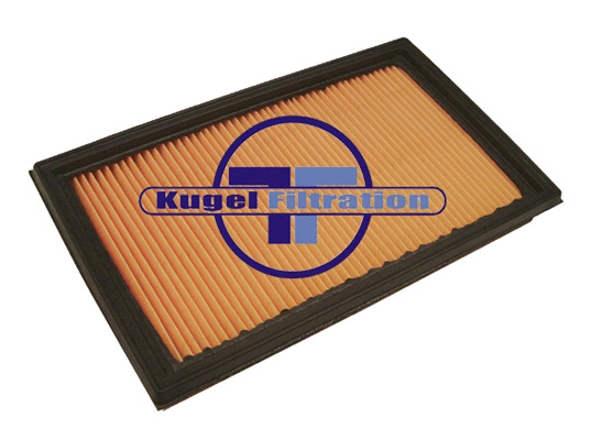 Air Filter (A3011)