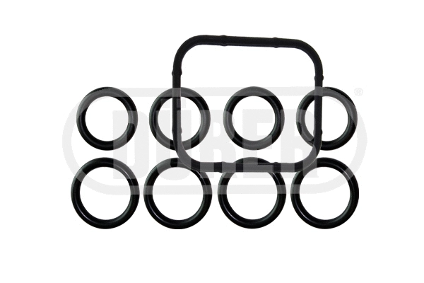 Gasket, intake manifold (KJCA2048S5)