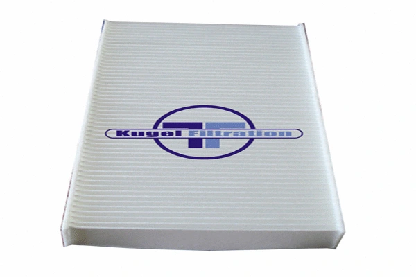 Filter, cabin air (H5039W)