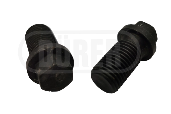 Screw Plug, oil sump (BV08F)