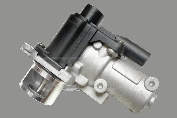 EGR Valve (VR81151)