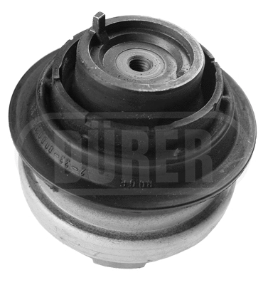 Mounting, engine (SM10006)