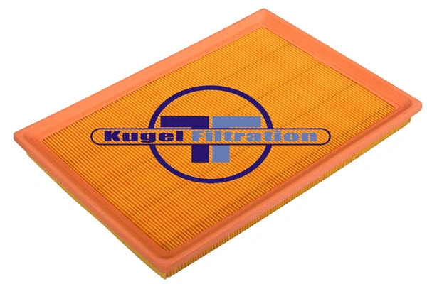 Air Filter (A3004)