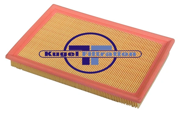 Air Filter (A3009)