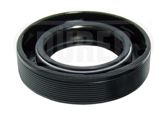 Shaft Seal, differential (JB202144)