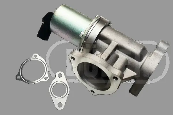 EGR Valve (VR321165)