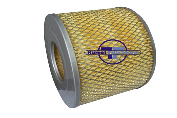 Air Filter (A4041)
