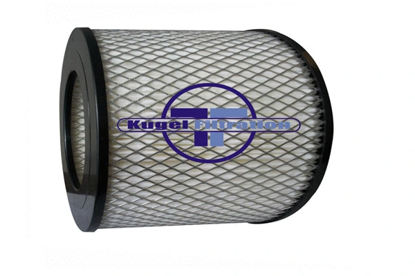 Air Filter (A4016)